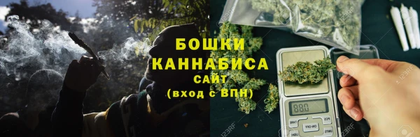 ПСИЛОЦИБИНОВЫЕ ГРИБЫ Ладушкин