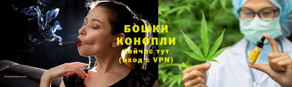 Альфа ПВП Лагань
