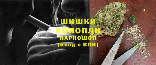 Альфа ПВП Лагань