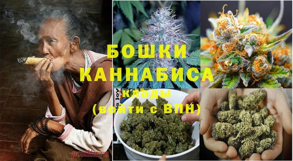 ПСИЛОЦИБИНОВЫЕ ГРИБЫ Ладушкин