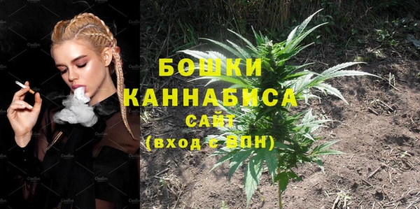 Альфа ПВП Лагань