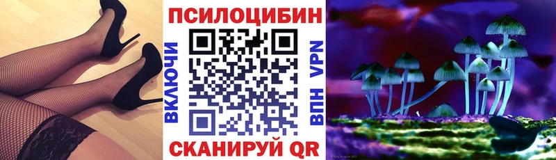 мега ссылка  закладки  Таруса  Псилоцибиновые грибы мицелий 